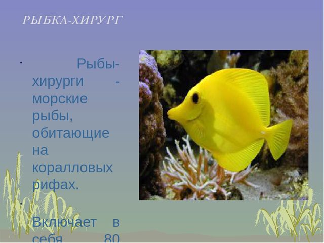 Презентация к занятию "Рыбы и их среда обитания"