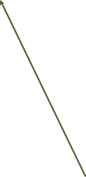 Shape13