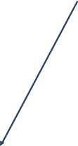 Shape18
