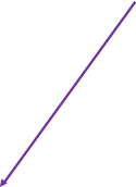 Shape31