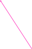 Shape29