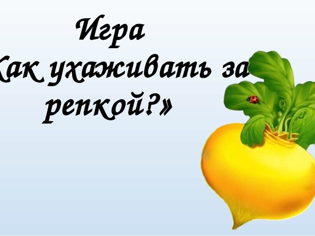 Интерактивная игра для интерактивной доски "Как ухаживать за репкой"