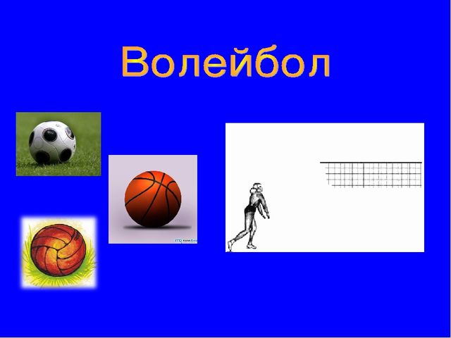 Презентация по окружающему миру "Зимние виды спорта"