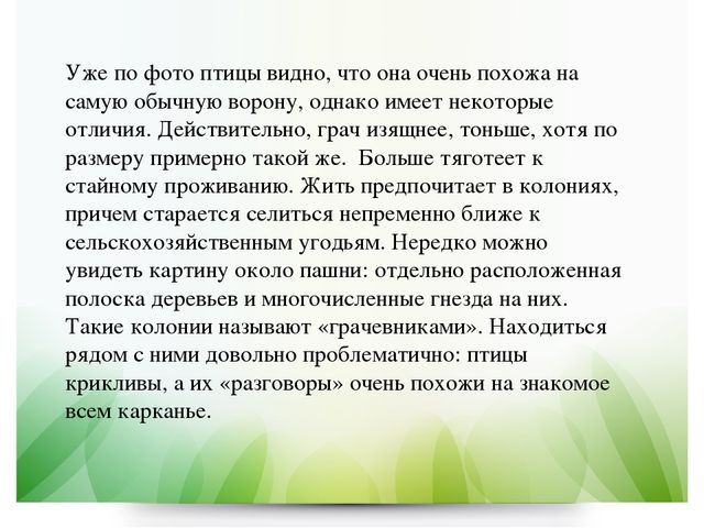 Презентация по экологии в ДОУ на тему "Грач" (подготовительная группа)