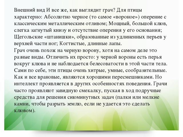 Презентация по экологии в ДОУ на тему "Грач" (подготовительная группа)