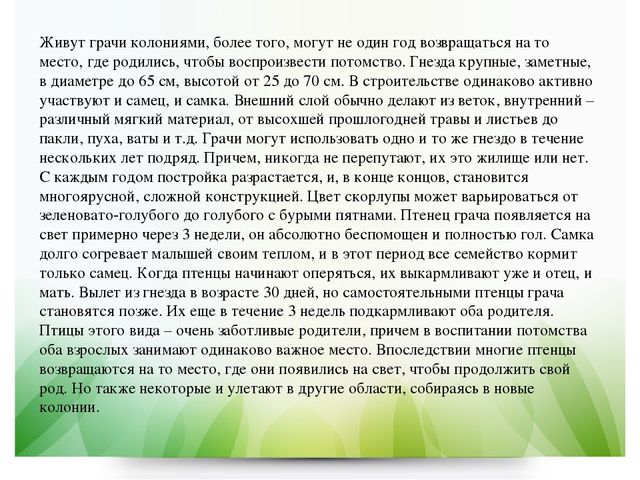 Презентация по экологии в ДОУ на тему "Грач" (подготовительная группа)
