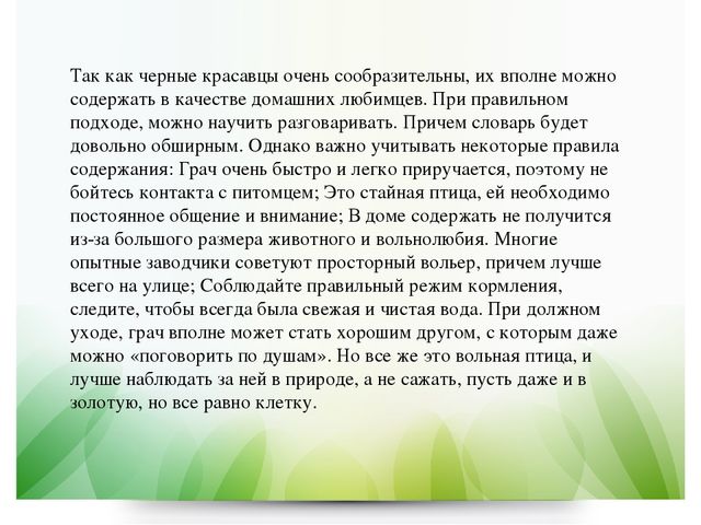 Презентация по экологии в ДОУ на тему "Грач" (подготовительная группа)