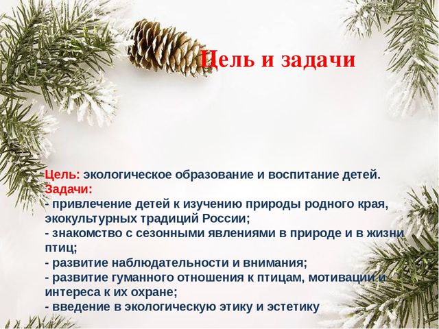 Презентация "Покормите птиц зимой"