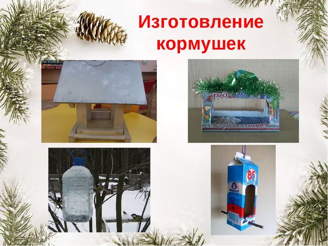 Презентация "Покормите птиц зимой"