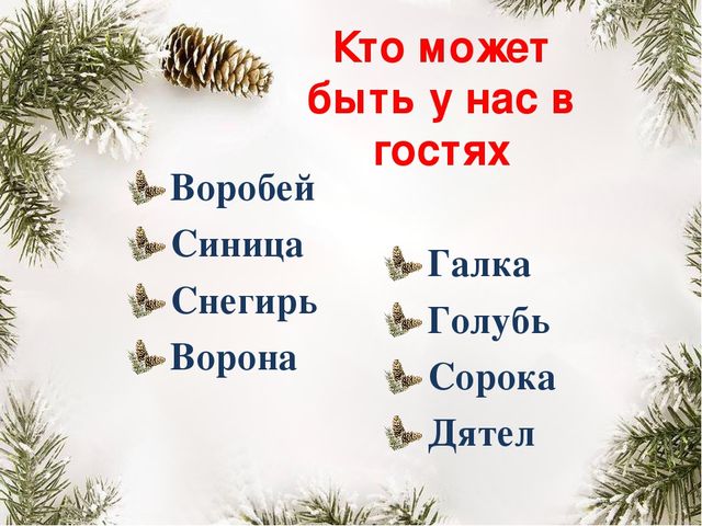 Презентация "Покормите птиц зимой"