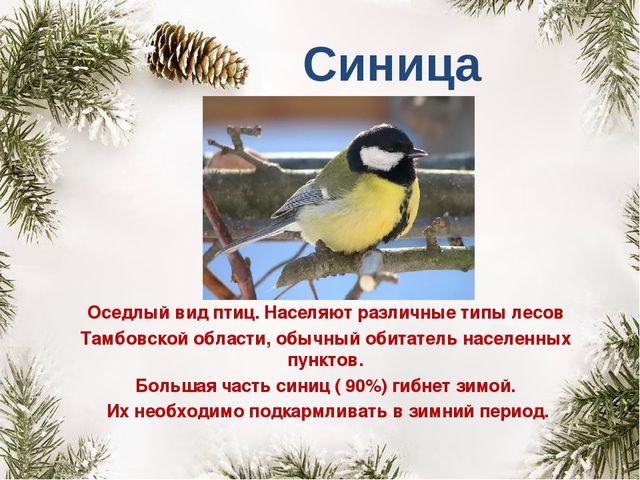 Презентация "Покормите птиц зимой"