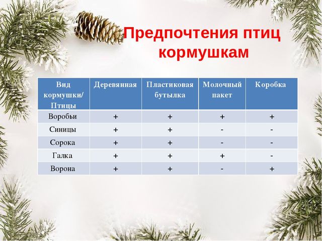 Презентация "Покормите птиц зимой"