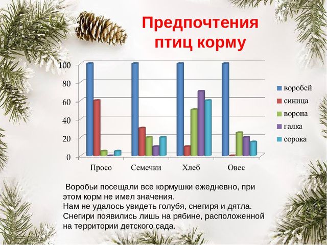 Презентация "Покормите птиц зимой"