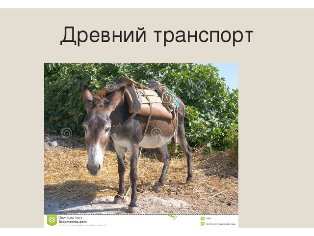 Презентация для детей подготовительной группы "Транспорт"