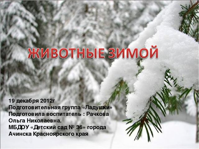 Презентация на тему «Животные зимой» для подготовительной группы.
