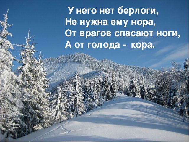 Презентация на тему «Животные зимой» для подготовительной группы.