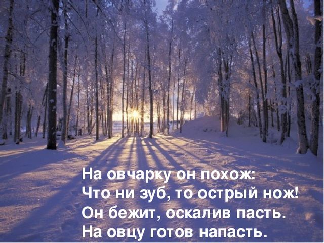 Презентация на тему «Животные зимой» для подготовительной группы.