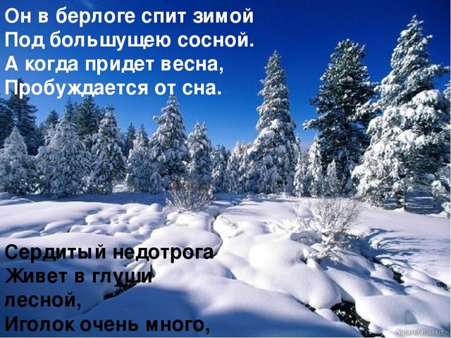 Презентация на тему «Животные зимой» для подготовительной группы.