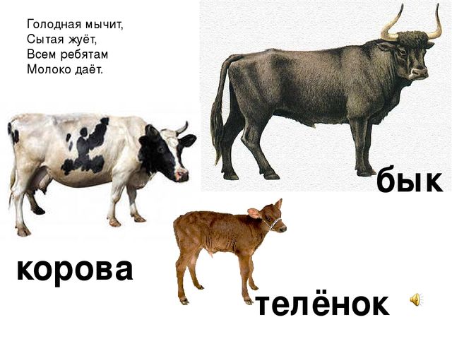 Презентация «Домашние животные» — где дети познакомятся с домашними животными и их детенышам.