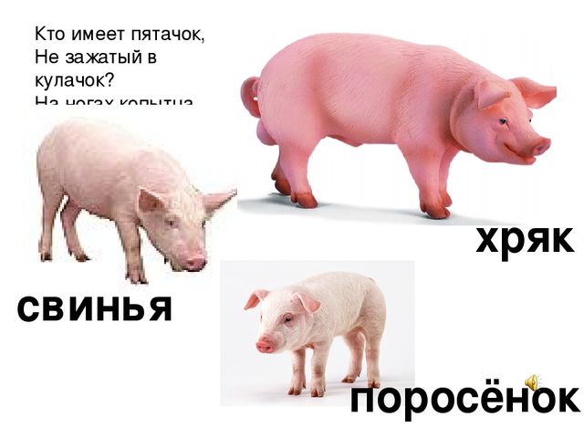Презентация «Домашние животные» — где дети познакомятся с домашними животными и их детенышам.