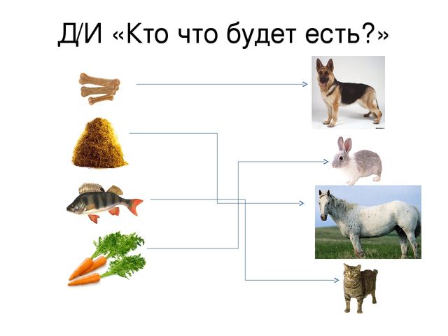 Презентация «Домашние животные» — где дети познакомятся с домашними животными и их детенышам.