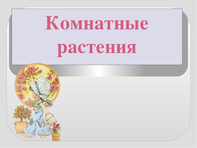 Презентация " КОМНАТНЫЕ РАСТЕНИЯ"