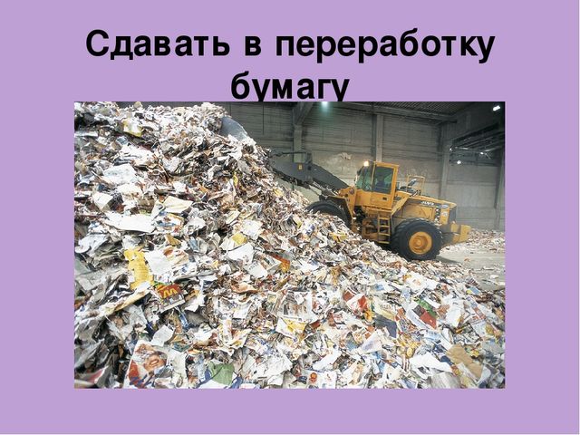 Презентация для детей старшего дошкольного возраста на тему "Сохраним планету от мусора"