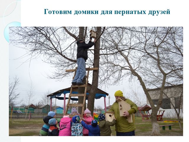 Фотоотчёт о проделанной работе в рамках акции "Скворушка"