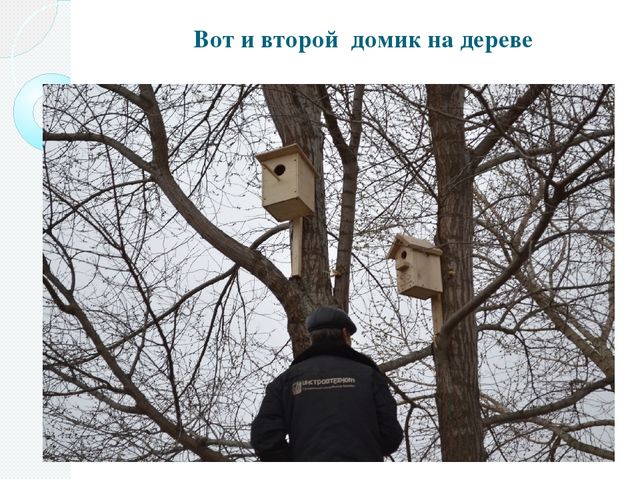 Фотоотчёт о проделанной работе в рамках акции "Скворушка"