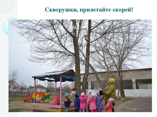 Фотоотчёт о проделанной работе в рамках акции "Скворушка"