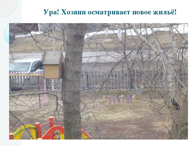 Фотоотчёт о проделанной работе в рамках акции "Скворушка"