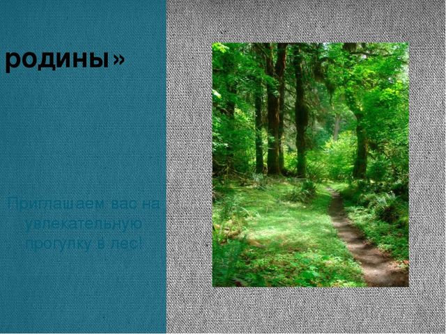 Экскурсия «Леса нашей Родины»