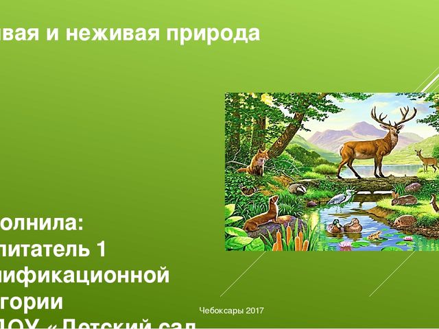 Связи между неживой и живой природой 2. Взаимодействие живой и неживой природы. Взаимосвязь организмов с окружающей их неживой природой. Связь живой и неживой природы в лесу. Соединение живого и неживого.