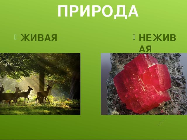 Презентация по ознакомлению с окружающим миром "Природа живая и неживая"