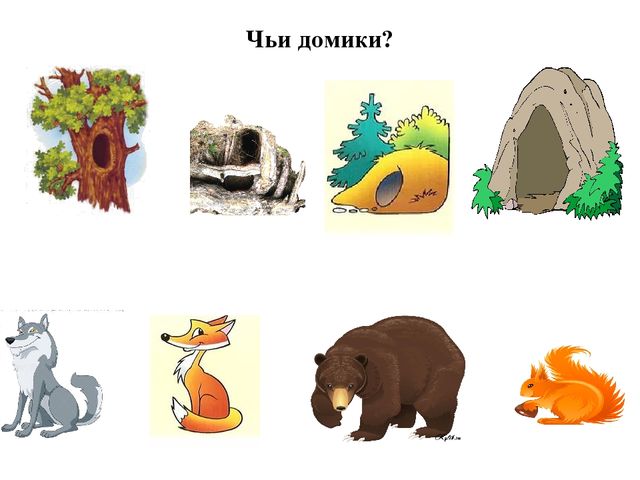 Презентация по познавательному развитию "В гостях у Лесовичка"