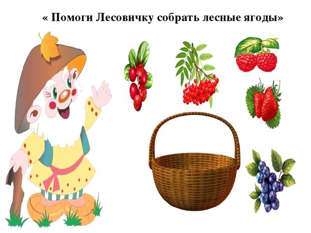 Презентация по познавательному развитию "В гостях у Лесовичка"