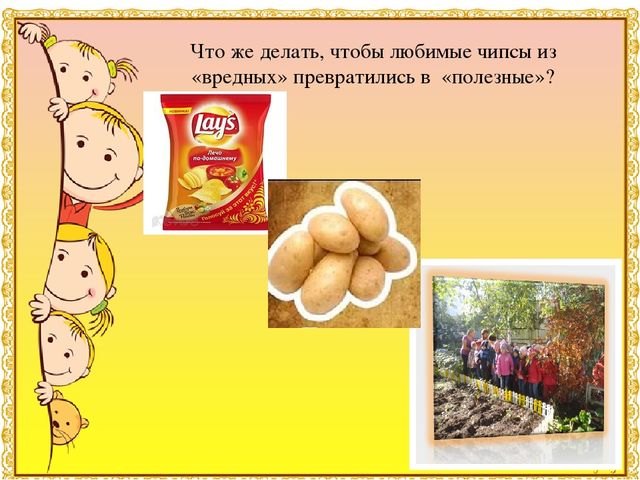 Презентация к детскому исследовательскому проекту "Мои любимые вредные чипсы"Результаты участия воспитанников в проектной (социально-значимой) деятельности (п. 1.5)