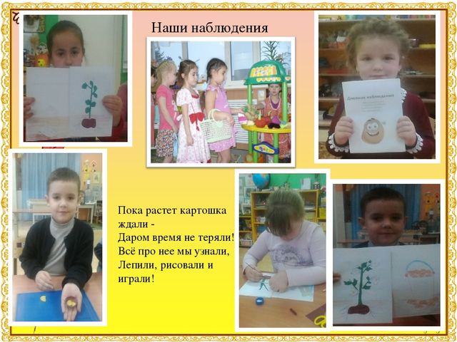 Презентация к детскому исследовательскому проекту "Мои любимые вредные чипсы"Результаты участия воспитанников в проектной (социально-значимой) деятельности (п. 1.5)