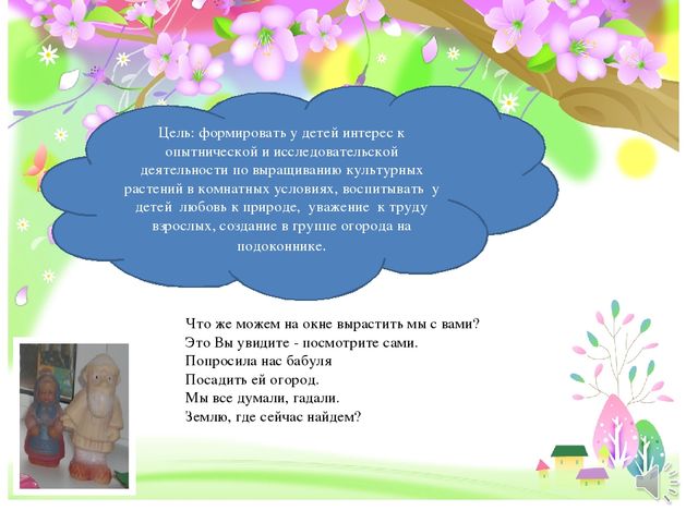 Презентация на конкурс "Огород на окне"
