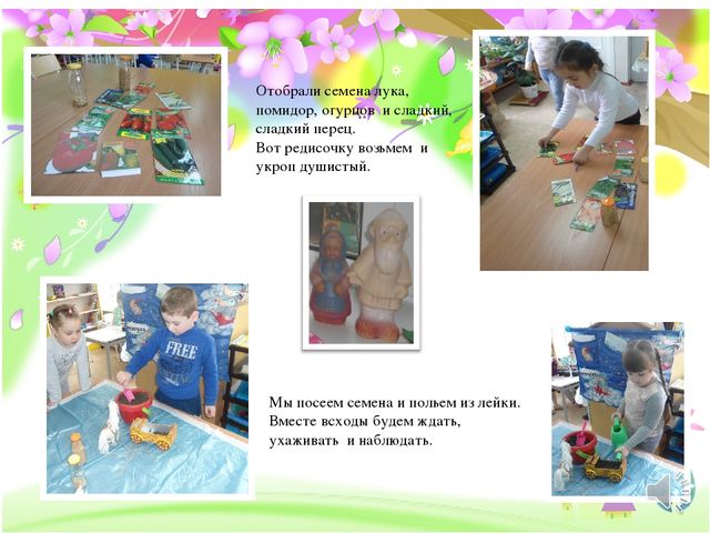 Презентация на конкурс "Огород на окне"