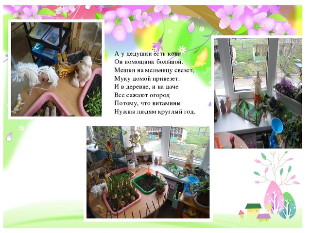 Презентация на конкурс "Огород на окне"