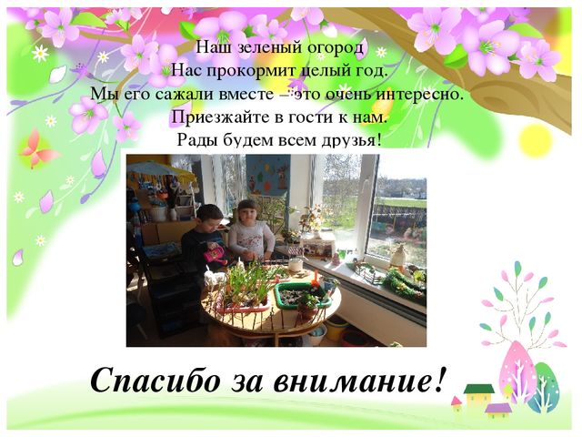 Презентация на конкурс "Огород на окне"