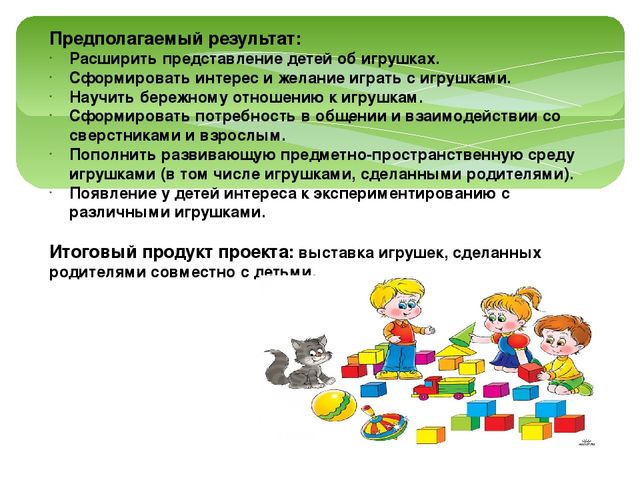 Проект "Игрушки в гостях у ребят"