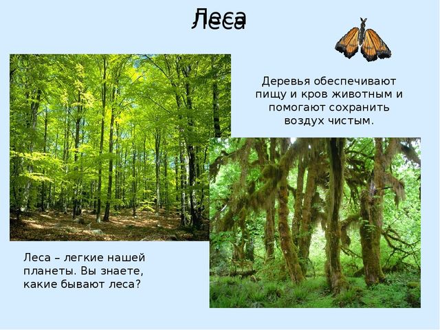 Презентация на тему "День Земли"