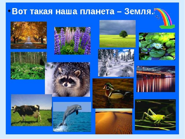 Презентация на тему "День Земли"