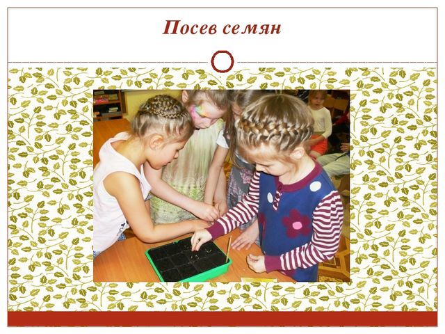 Консультация для воспитателей. Работа с детьми в цветнике и огороде.