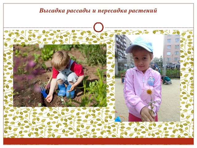 Консультация для воспитателей. Работа с детьми в цветнике и огороде.