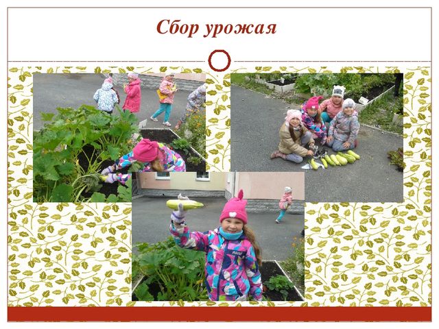 Консультация для воспитателей. Работа с детьми в цветнике и огороде.