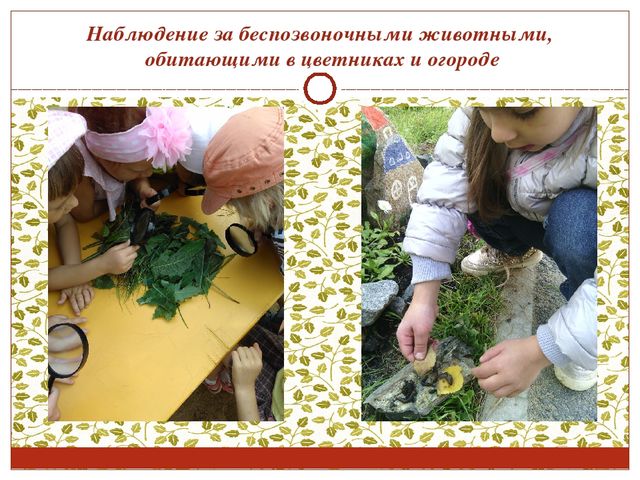 Консультация для воспитателей. Работа с детьми в цветнике и огороде.