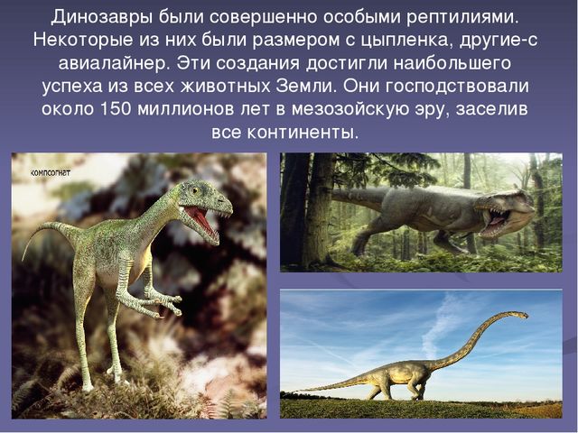 Презентация "Эра динозавров-причины вымирания"